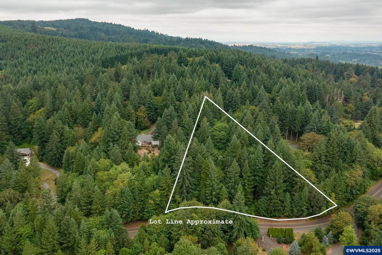 TL 755377 Bartels Creek - Photo 1