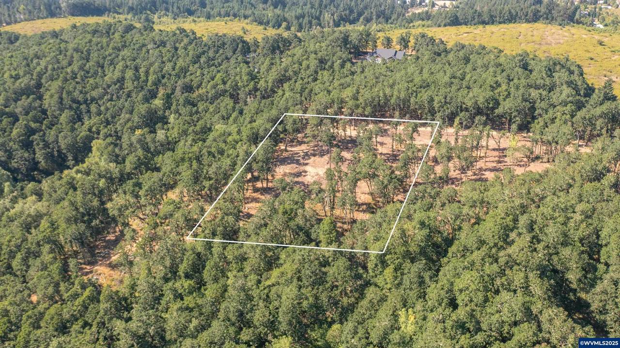 Parcel 2 Kings Valley - Photo 1