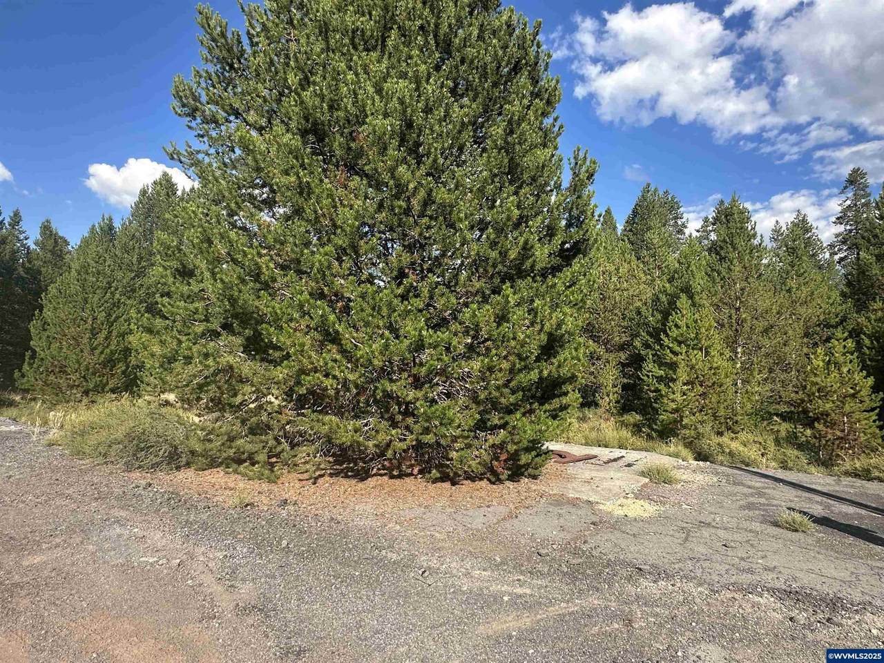 000 Hwy 97 - Photo 1