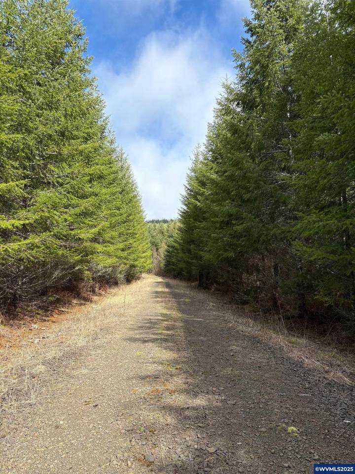 0 Boiler Creek - Photo 1