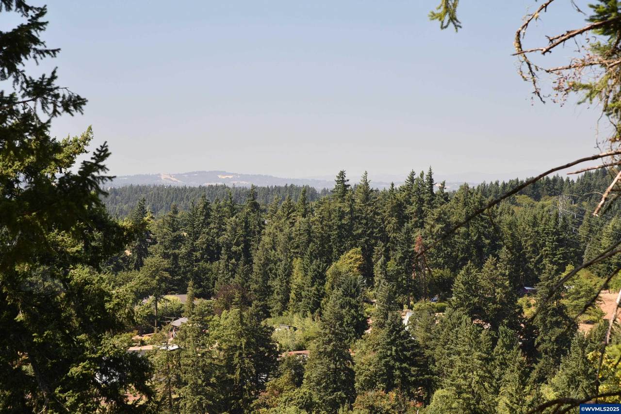 00 Mountain - Photo 1