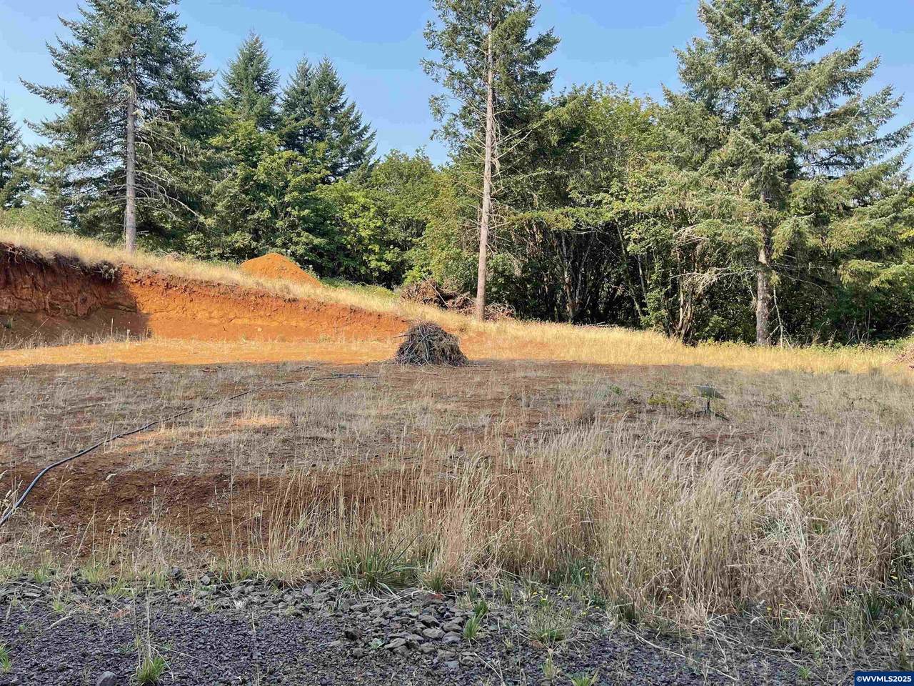 25560 Valley View - Photo 1