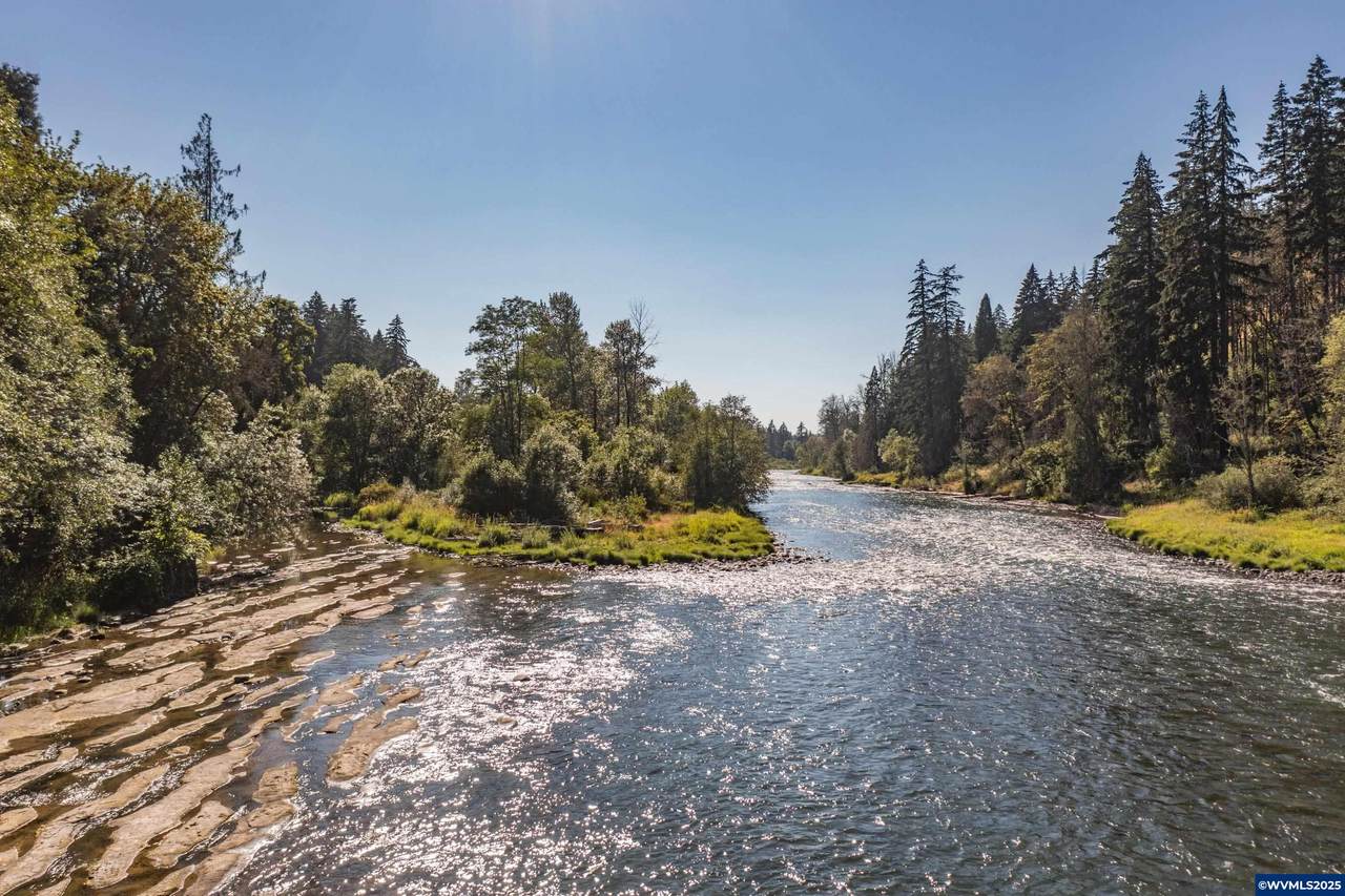 45849 River Loop Rd - Photo 1