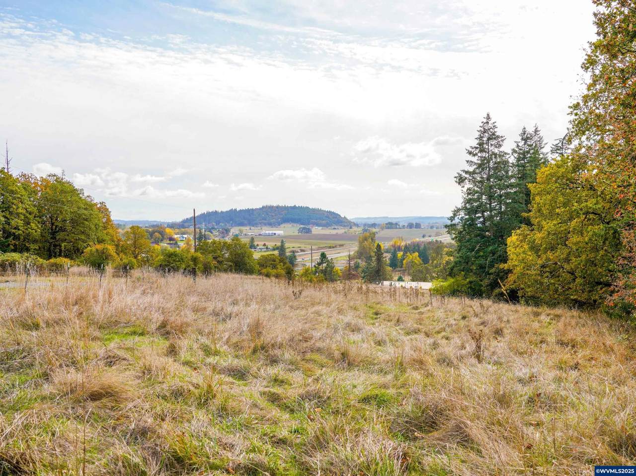 10865 South View - Photo 1