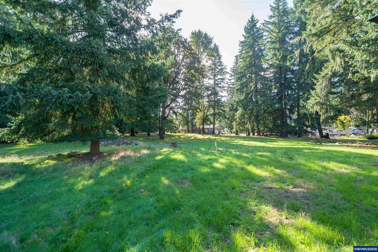 E Dogwood Dr (Next To) - Photo 1