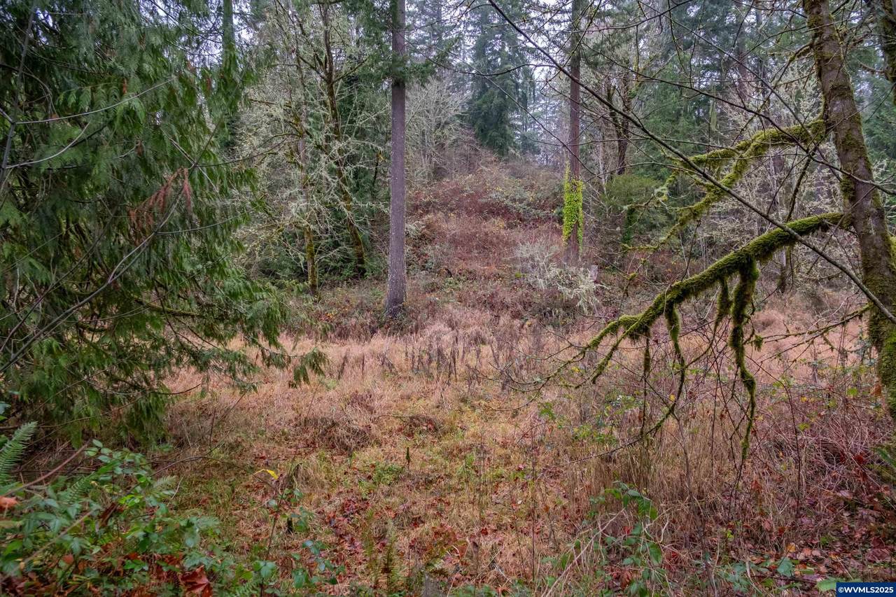 38353 Laurelwood - Photo 1