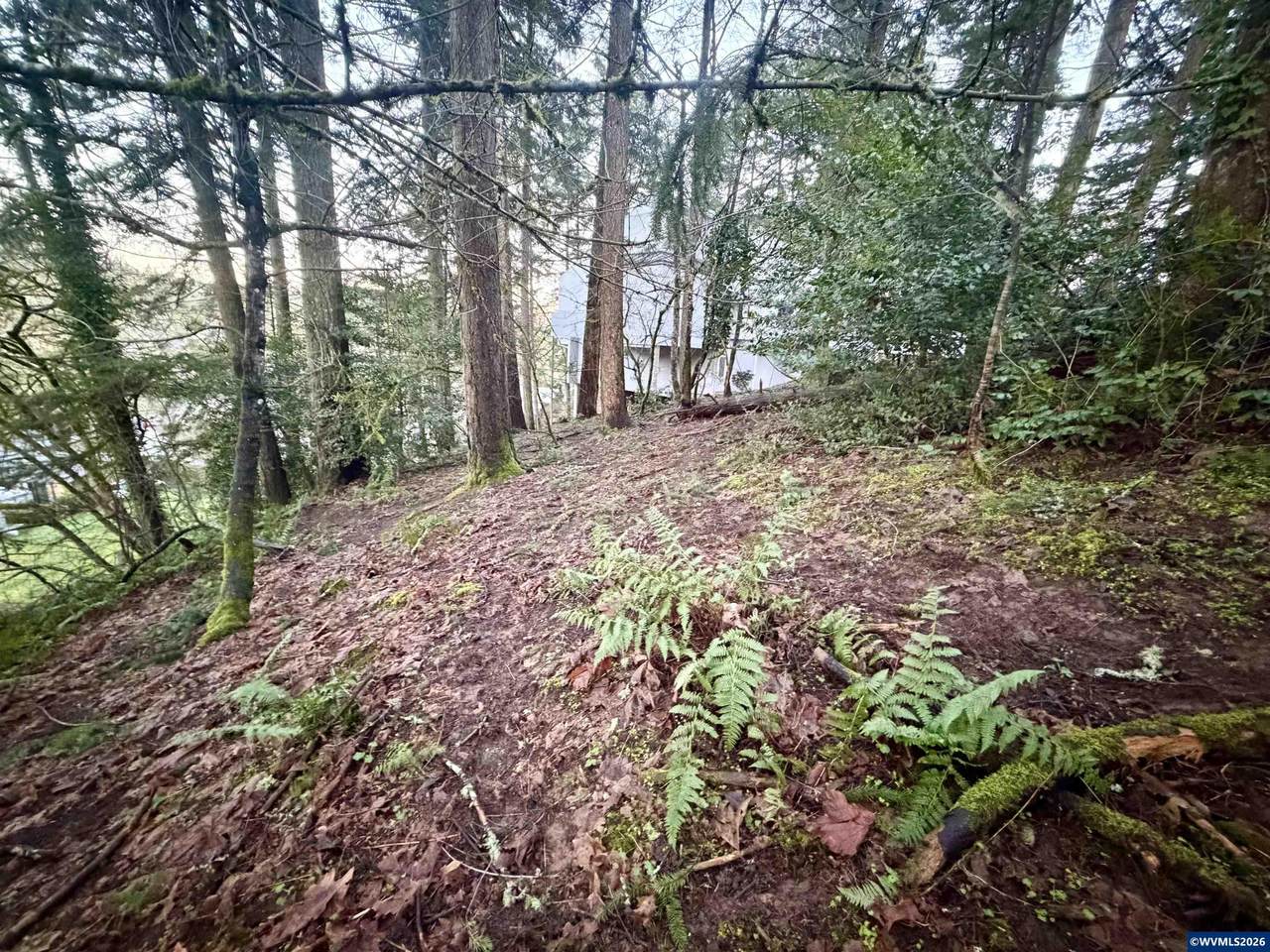 https://bt-photos.global.ssl.fastly.net/salem/1280_boomver_1_836330-2.jpg