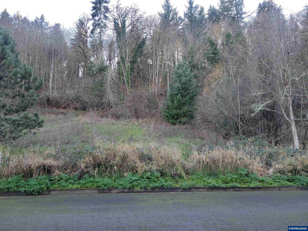 2458 Morrow - Photo 1