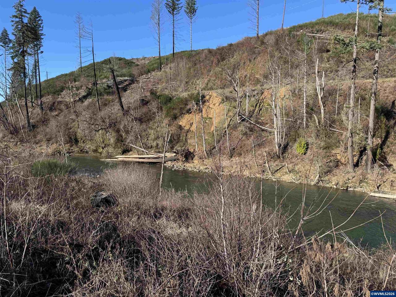 25497 Taylor Park - Photo 1