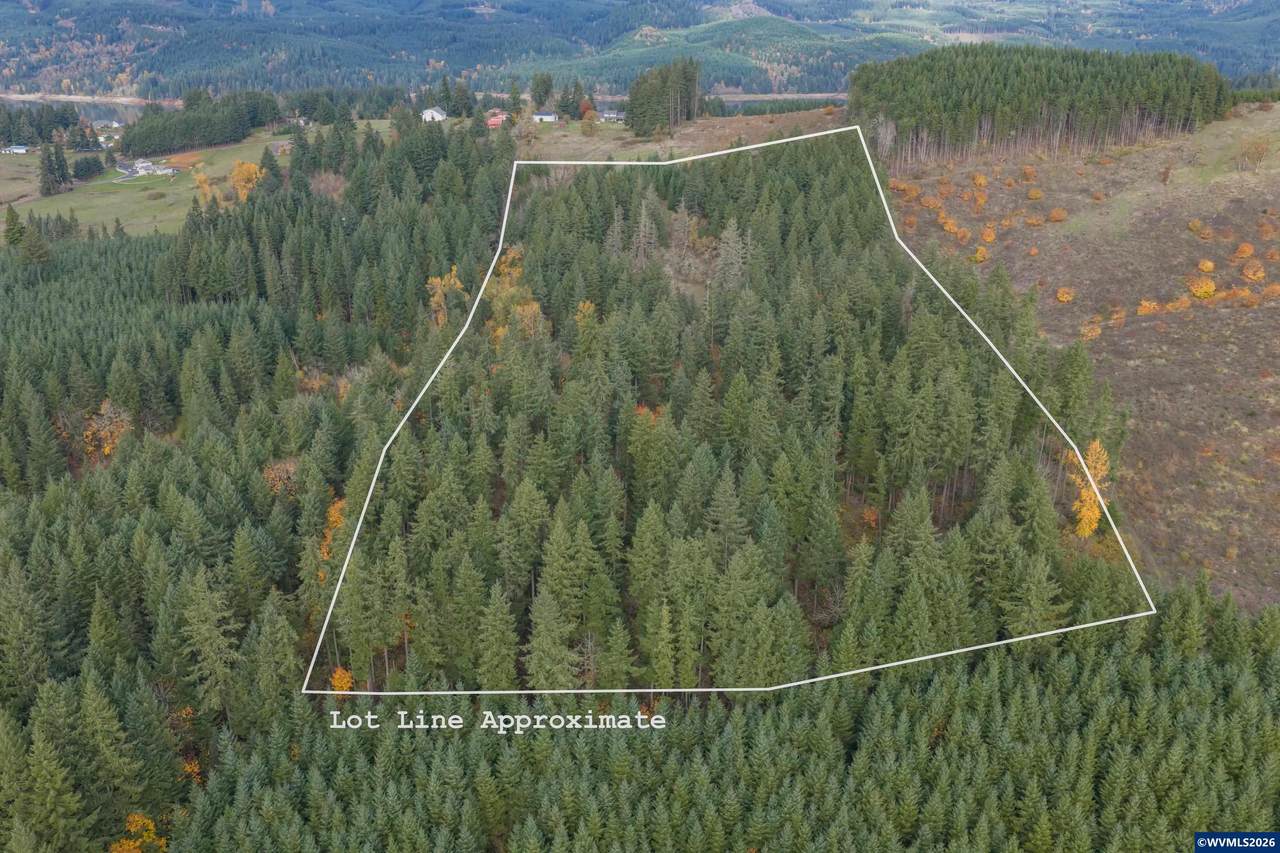 TL 103 Whiskey Butte - Photo 1