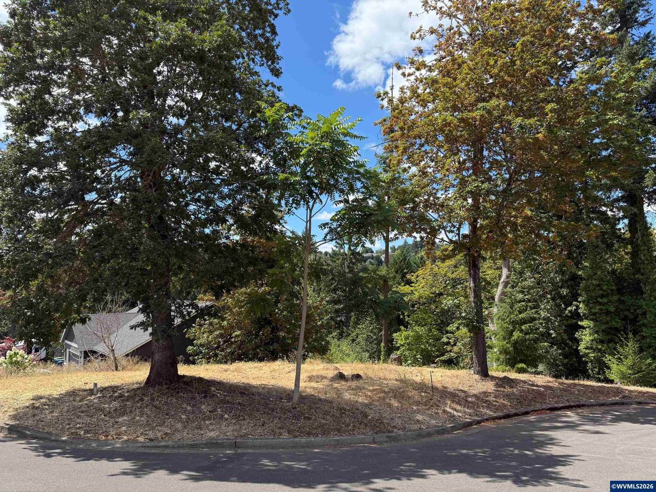601 Timber View Lot 13 - Photo 1