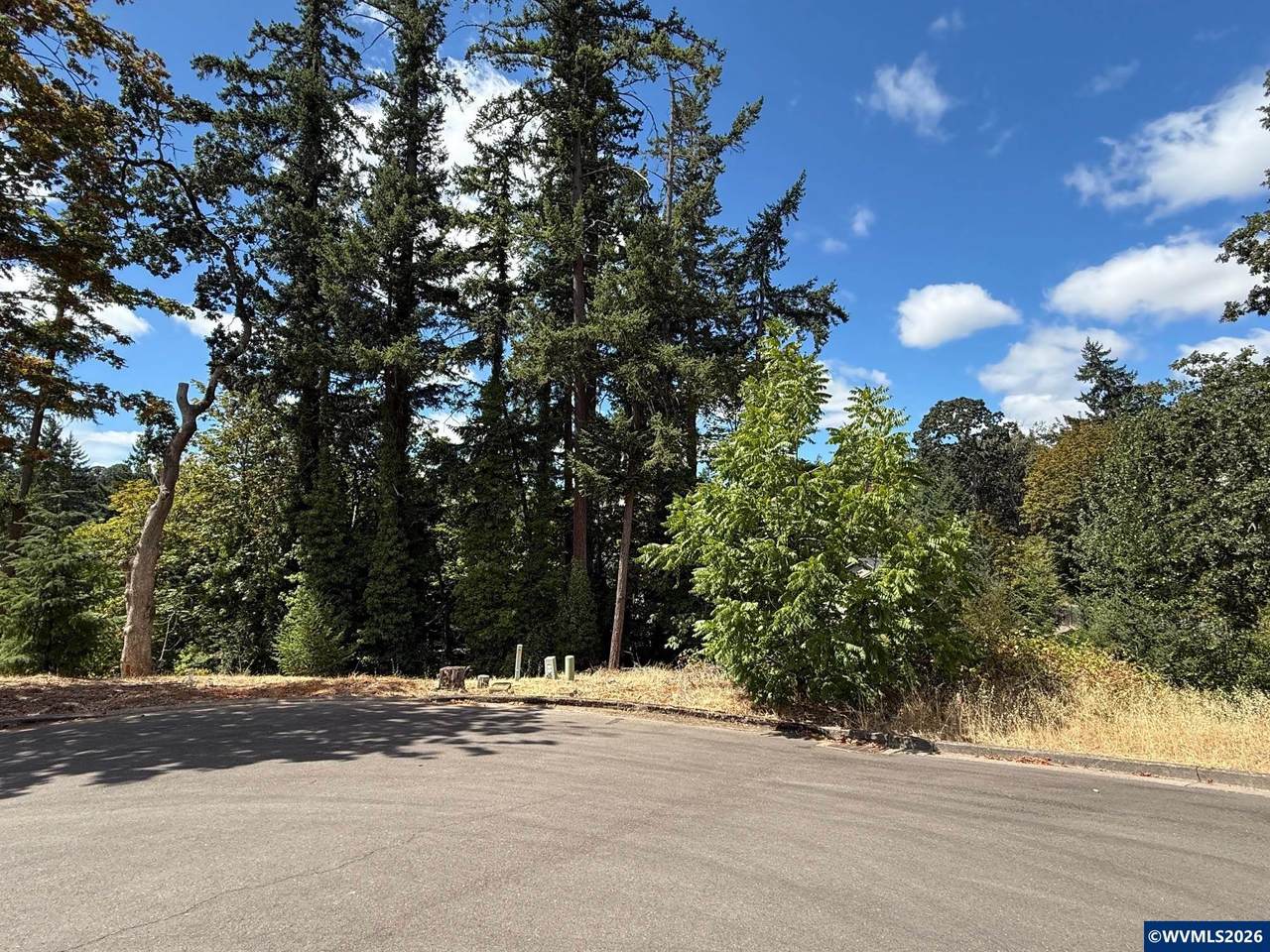 621 Timber View Lot 11 - Photo 1