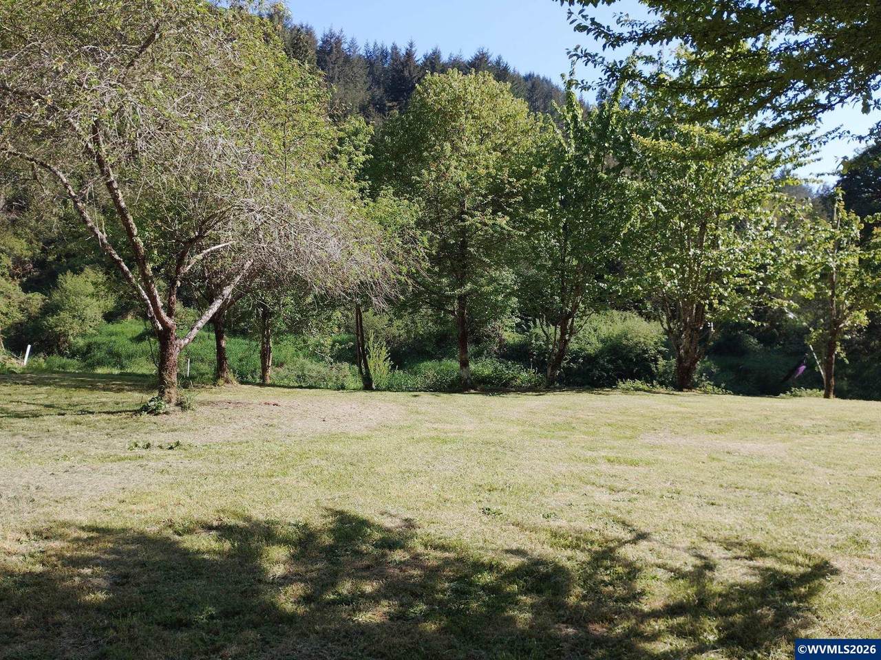 https://bt-photos.global.ssl.fastly.net/salem/1280_boomver_1_842010-2.jpg