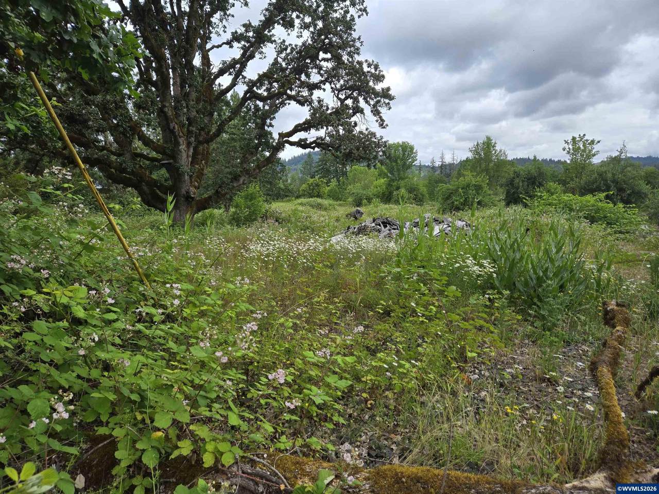 TL 2801 2802 Cascade - Photo 1
