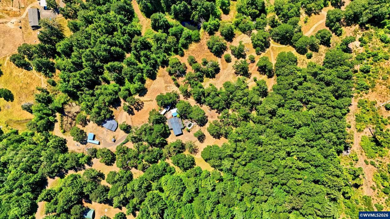 22695 Finn Rd - Photo 1