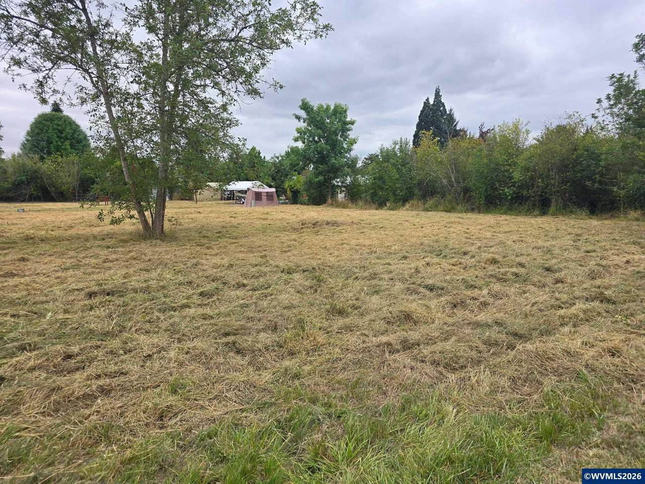  Maple (Lot 9) - Photo 1