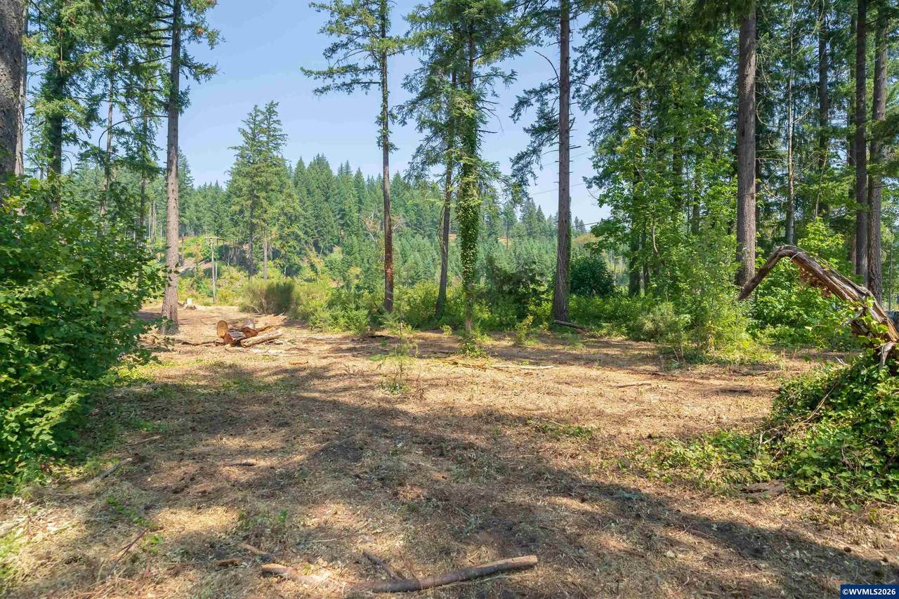 Lot 1101 Santiam Park - Photo 1