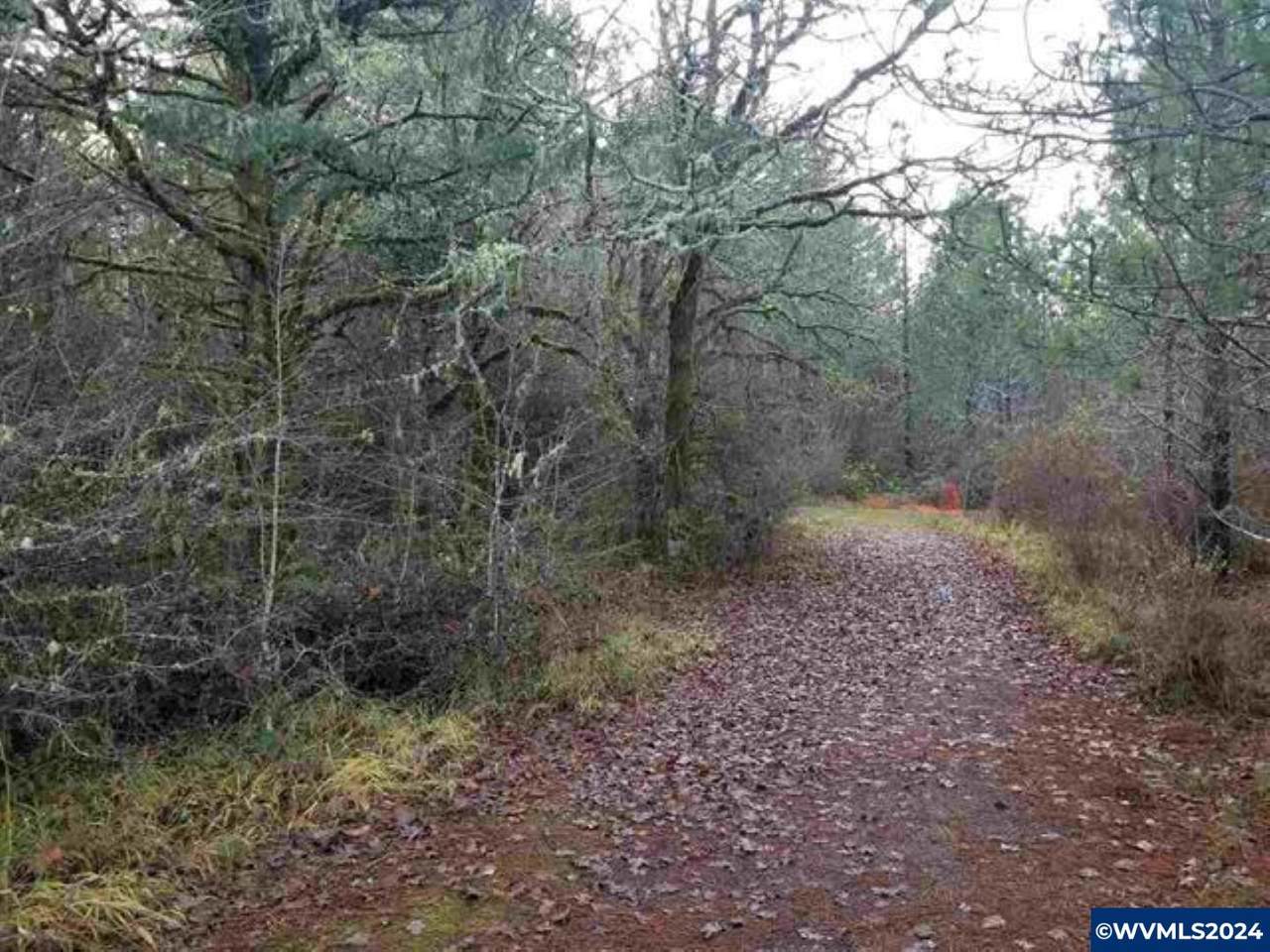 2655 (next to) Foothill - Photo 1