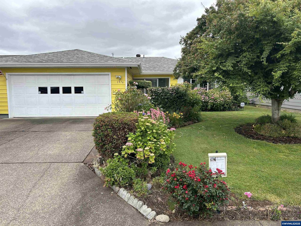 1976 Santiam Dr - Photo 1