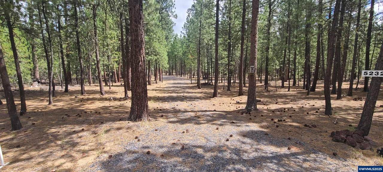 52328 Elderberry - Photo 1