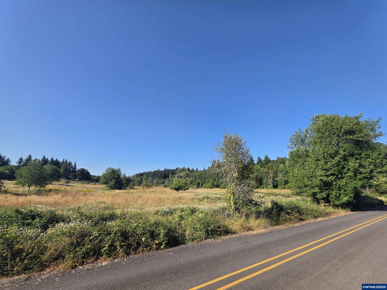 2531 Ballyntyne - Photo 1