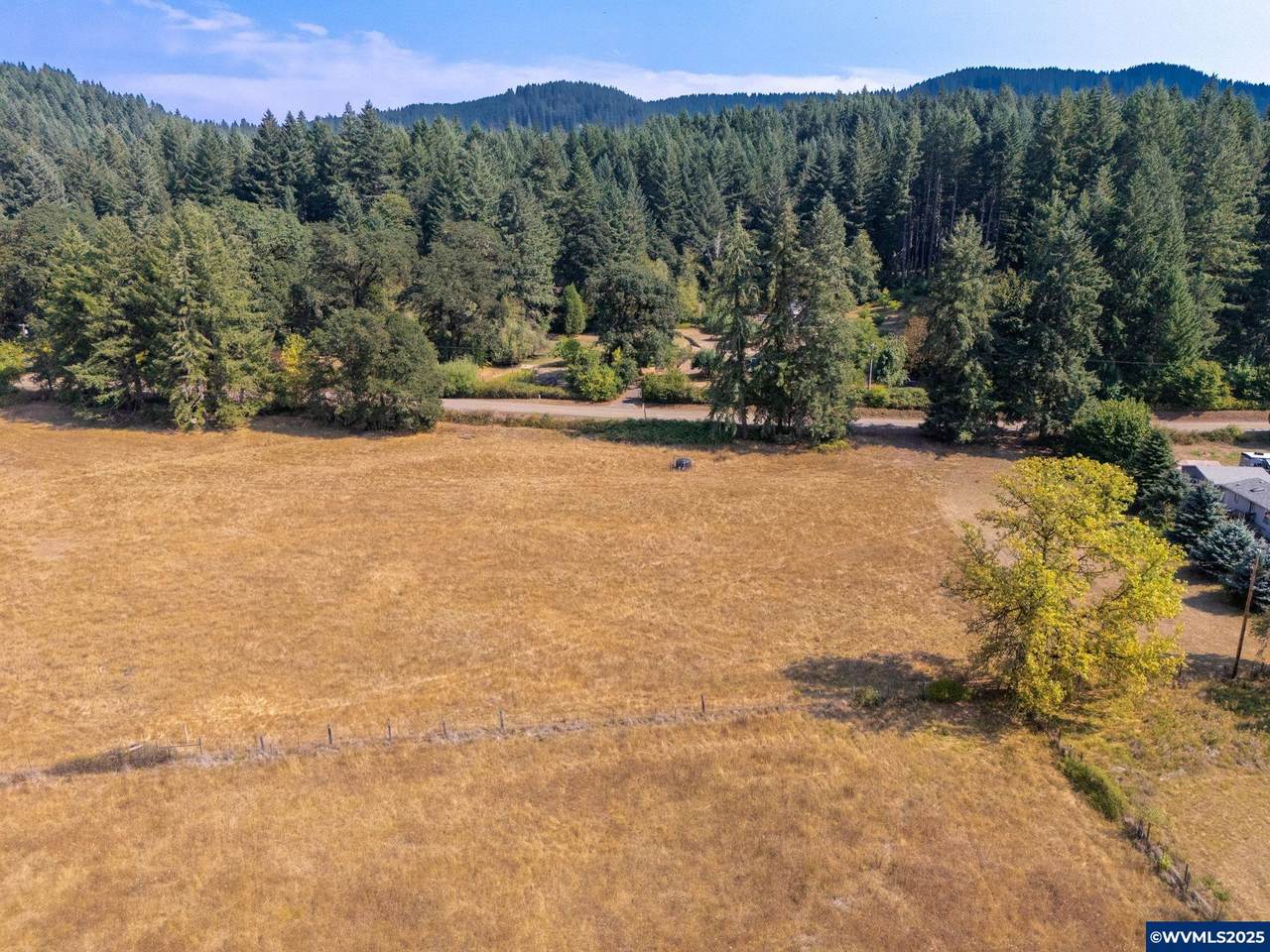 Next to 26140 Alsea Deadwood - Photo 1