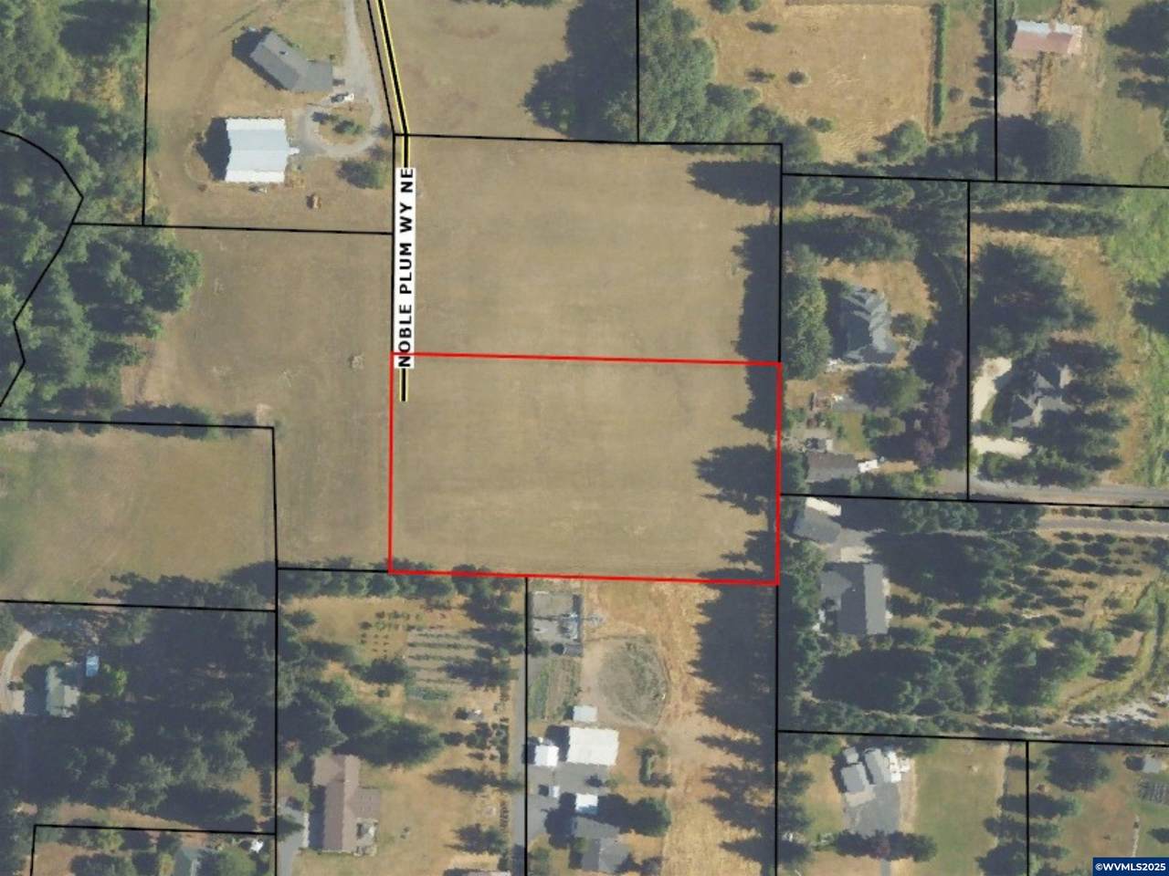 720 Noble Plum - Photo 1