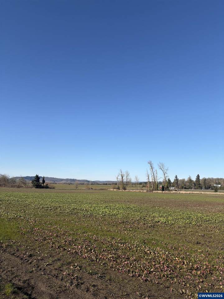 850 Greenwood Rd (East Of) - Photo 1