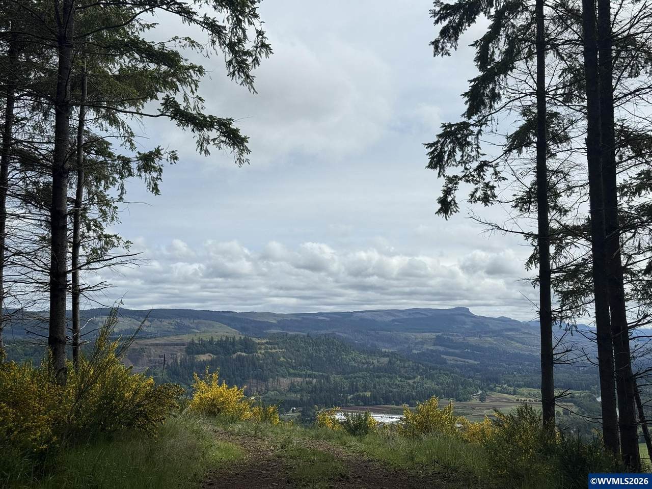 TL 400 & 900 Kingston Lyons - Photo 1