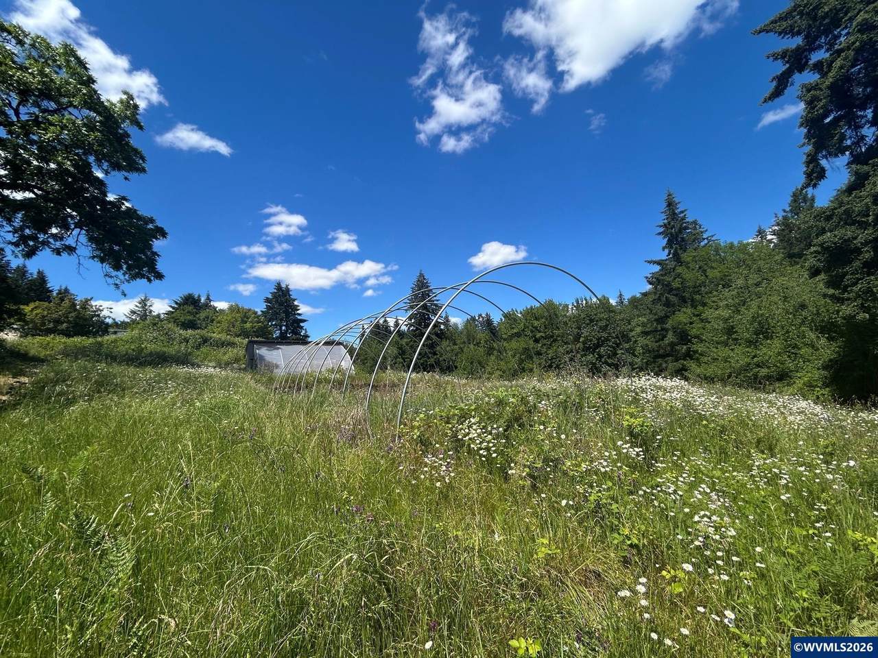21095 Old Pacific Hwy - Photo 1