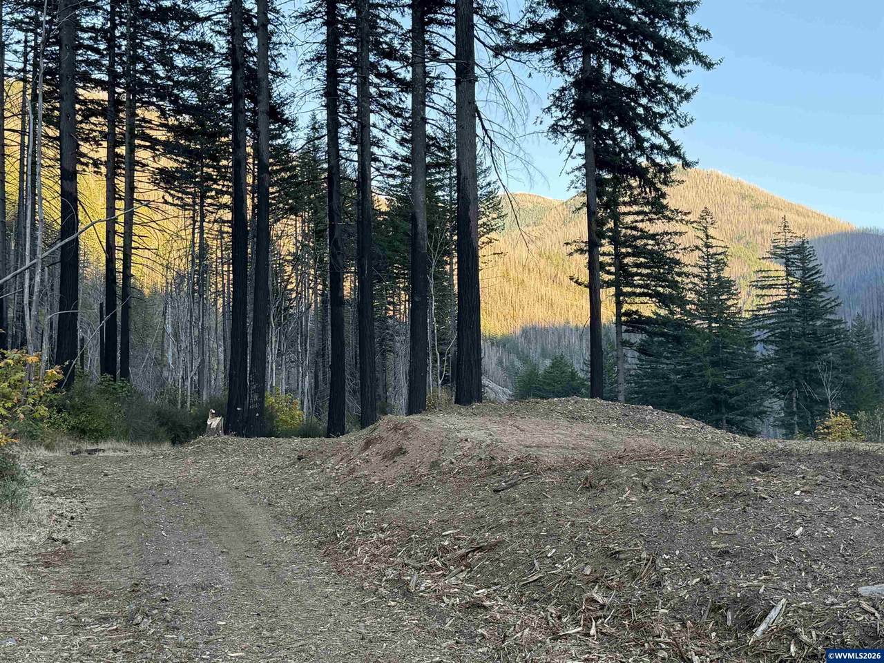 https://bt-photos.global.ssl.fastly.net/salem/1280_boomver_1_844010-2.jpg