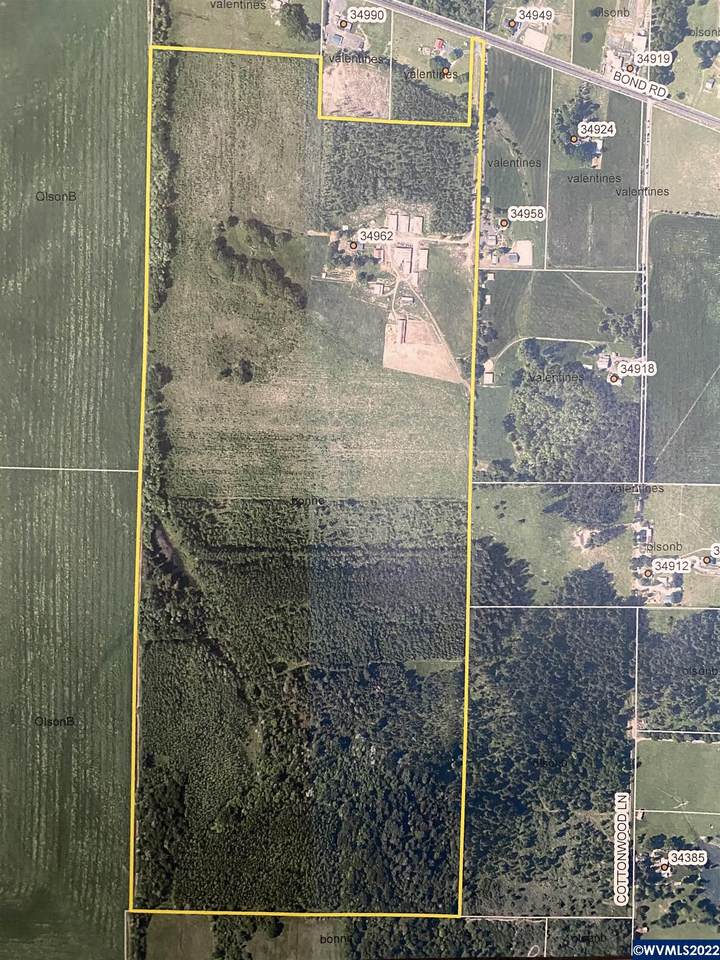 34962 Bond Rd - Photo 1