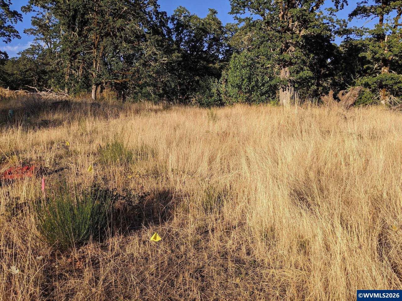 3703 Goldfinch - Photo 1