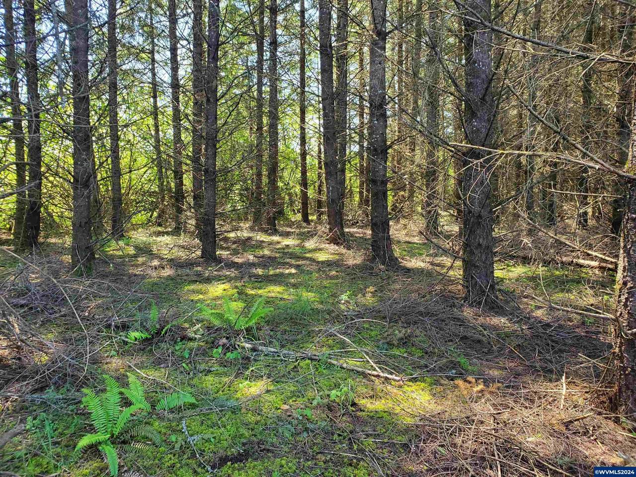 30200 Fairview (Next To) - Photo 1