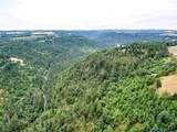  Silver Creek Canyon (R38780) - Photo 9