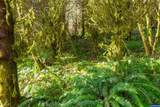 0 Siletz - Photo 15