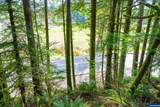 0 Siletz - Photo 20