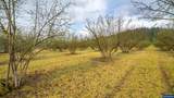 37082 Goats Rd - Photo 33