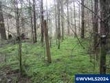 000 Zurfluh West - Photo 14