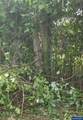 TA 727210 Fairview - Photo 3