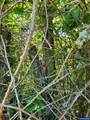 TA 727210 Fairview - Photo 4