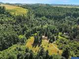 3999 Timber Trail - Photo 40
