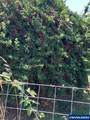 33588 Harvey Rd - Photo 20