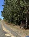 33588 Harvey Rd - Photo 3