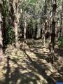 33588 Harvey Rd - Photo 4