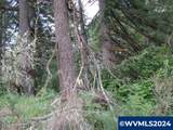 0 Fairdale - Photo 11