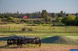 52255 Hunnington Rd - Photo 30