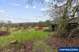 1027 Meadows Ln - Photo 45
