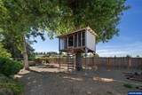 1417 Orchard Heights Rd - Photo 46