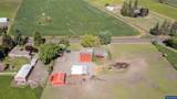 31501 Stoltz Hill Dr - Photo 49